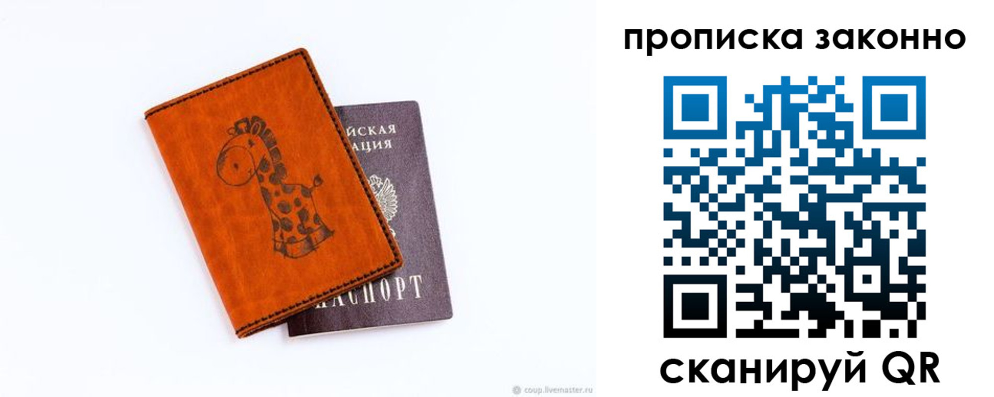 прописка в Светлогорске