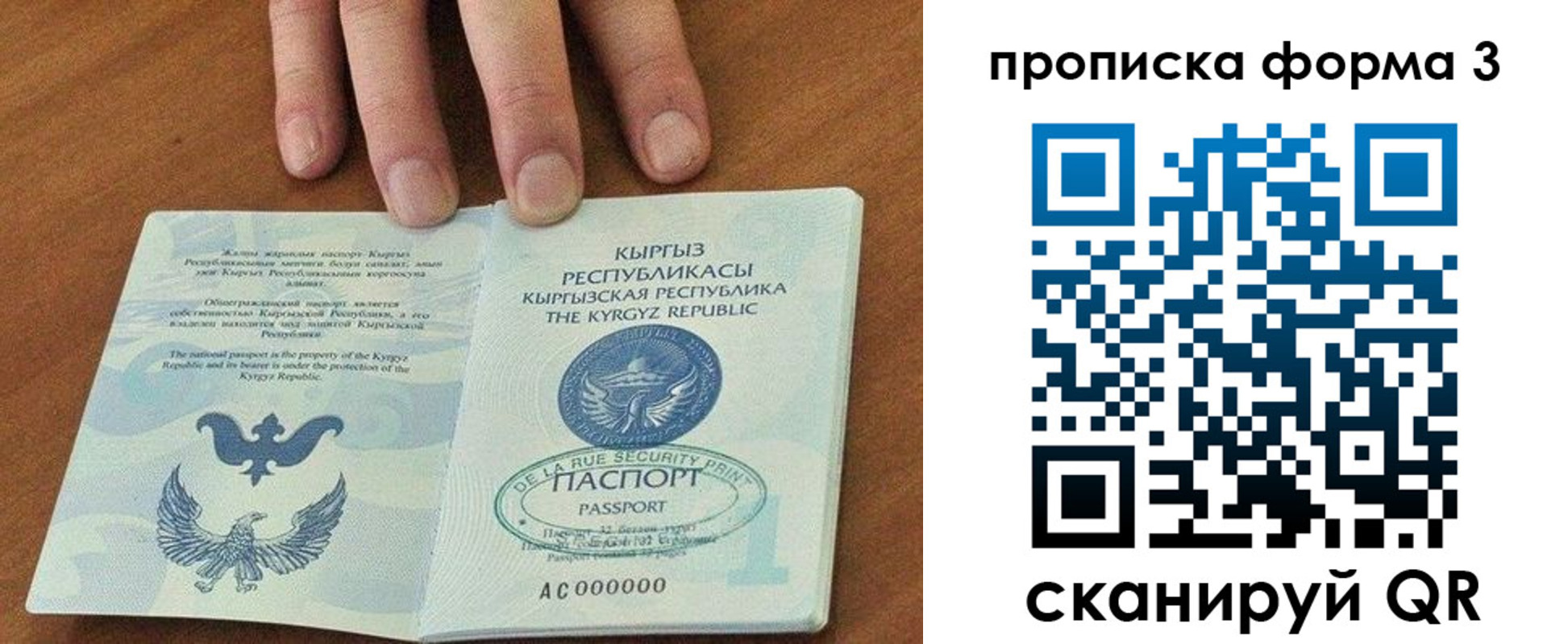 прописка 2025 в Светлогорске