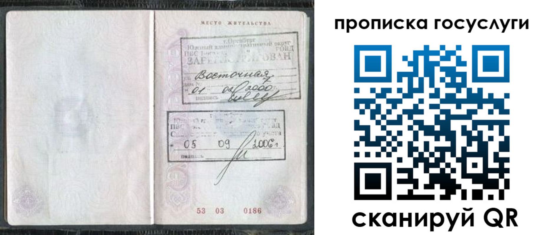 регистрация для школы в Светлогорске