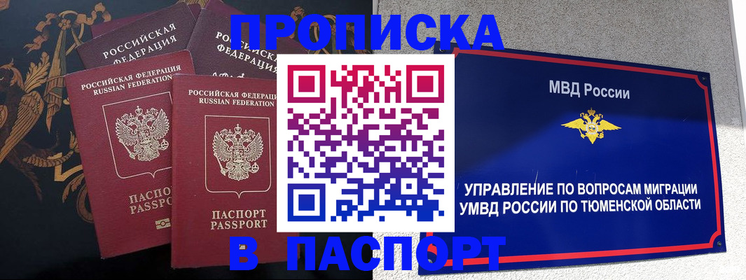 пропишу в квартире в Светлогорске